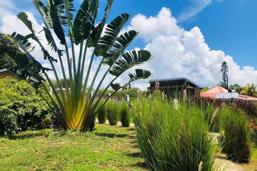 Kaz Corail Lägenhet Sainte-Anne  Guadeloupe